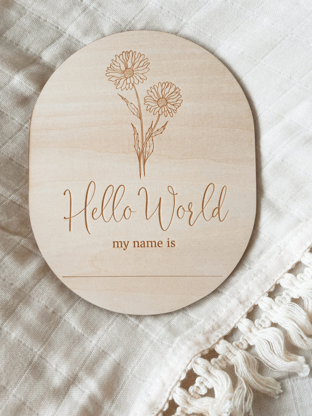 Hello World My Name is