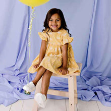 Load image into Gallery viewer, Alice Embroidered Gingham Dress
