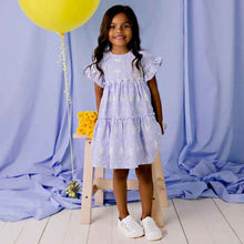 Load image into Gallery viewer, Alice Embroidered Gingham Dress - Blue
