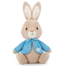 Load image into Gallery viewer, SOFT TOY: SUPER SOFT PETER RABBIT-25CM
