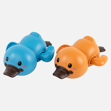 Load image into Gallery viewer, Bath Racers - Platypuses
