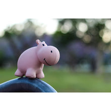 Load image into Gallery viewer, Rubber Hippo Zoo Animal - Teether Rattle/Bath Toy/Toy
