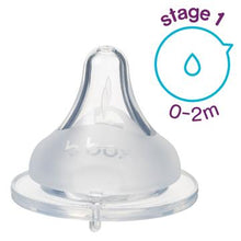 Load image into Gallery viewer, 2 pack baby bottle anti-colic teat (6m+)
