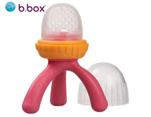 Load image into Gallery viewer, Silicone Fresh Food Feeder
