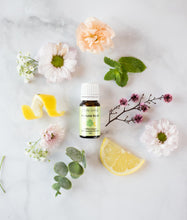 Load image into Gallery viewer, IMMUNE BOOST ORGANIC 10ml
